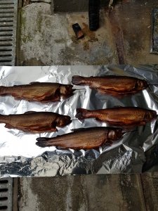 20181101_131330.jpg 20181101_131330.jpg