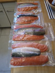 IMG_20181031_091618.jpg IMG_20181031_091618.jpg