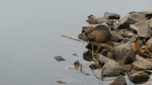 20181104_162340.jpg 20181104_162340.jpg