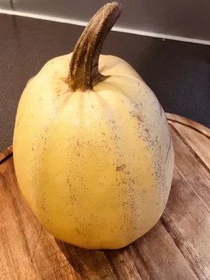 D8C45249-C47C-447B-BD81-B3CF2853B142.webp D8C45249-C47C-447B-BD81-B3CF2853B142.webp