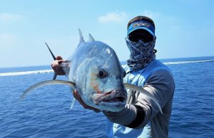 20181103_121810.jpg 20181103_121810.jpg