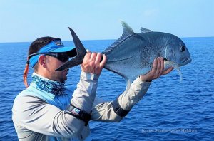 20181103_145317.jpg 20181103_145317.jpg