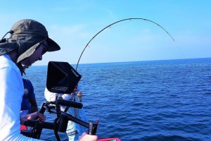 20181103_154836.jpg 20181103_154836.jpg