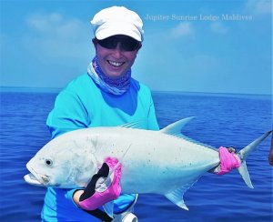 20181103_174259.jpg 20181103_174259.jpg