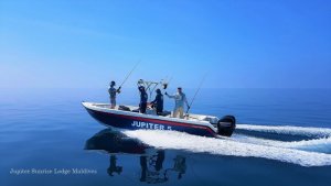 20181104_095956.jpg 20181104_095956.jpg