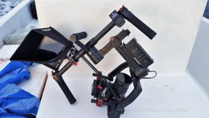 20181105_060745.jpg 20181105_060745.jpg