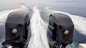 20181106_062149.jpg 20181106_062149.jpg