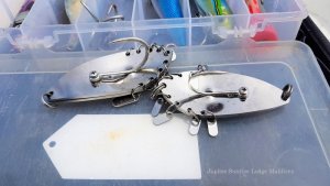 20181106_110448.jpg 20181106_110448.jpg