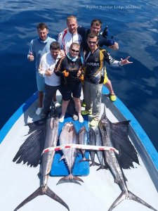 20181107_122430.jpg 20181107_122430.jpg