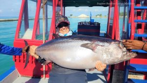 20181107_151146.jpg 20181107_151146.jpg