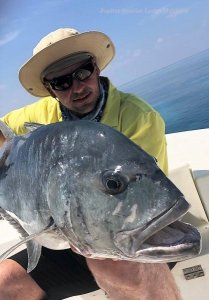 IMG-20181105-WA0017.jpg IMG-20181105-WA0017.jpg