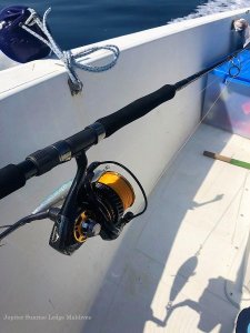 IMG-20181105-WA0024.jpg IMG-20181105-WA0024.jpg