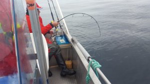 20170807_101227.jpg