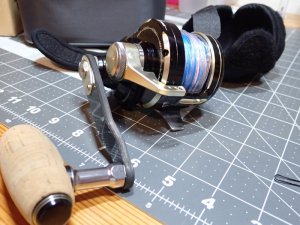 PB200162.JPG