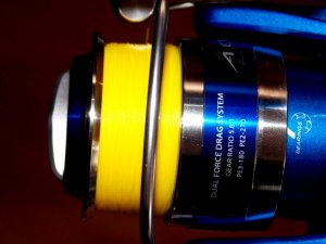 Wickelbild Azores 005.JPG Wickelbild Azores 005.JPG