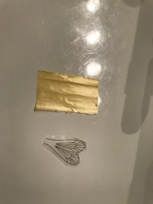 5655E252-1EE3-4D8E-8BFF-F87B2BF2EDE2.webp 5655E252-1EE3-4D8E-8BFF-F87B2BF2EDE2.webp