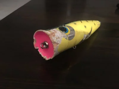 IMG_2764.webp IMG_2764.webp