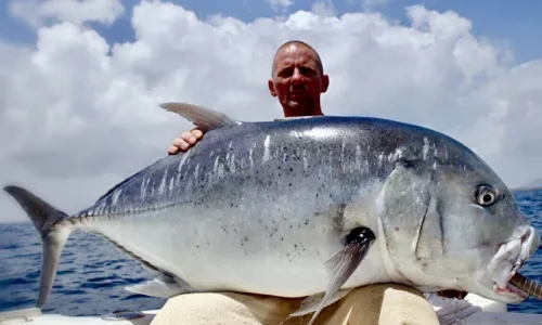 fullsizeoutput_3170.webp fullsizeoutput_3170.webp