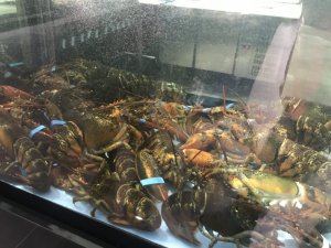 F23D95B4-33EE-4DC3-B996-F528ECFDDEAD.jpeg F23D95B4-33EE-4DC3-B996-F528ECFDDEAD.jpeg