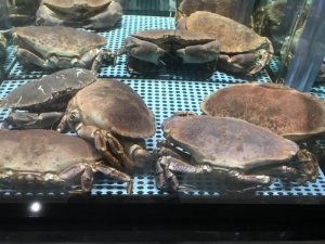 86B1E04D-E1C8-45C7-8F21-D67DA5715D43.jpeg 86B1E04D-E1C8-45C7-8F21-D67DA5715D43.jpeg