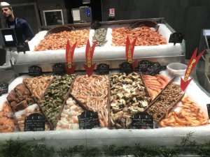 377345DD-A38A-43FD-A344-544868B243E0.jpeg 377345DD-A38A-43FD-A344-544868B243E0.jpeg