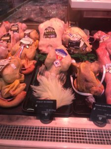 9E769196-05CC-44C1-AEE1-CE248D8B98DE.jpeg 9E769196-05CC-44C1-AEE1-CE248D8B98DE.jpeg