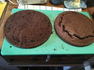 BDF15D31-E50D-4DD3-9817-4768A384B055.jpeg BDF15D31-E50D-4DD3-9817-4768A384B055.jpeg