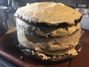 CC721D8D-CB3F-443D-8491-37CD0452B7DC.jpeg CC721D8D-CB3F-443D-8491-37CD0452B7DC.jpeg