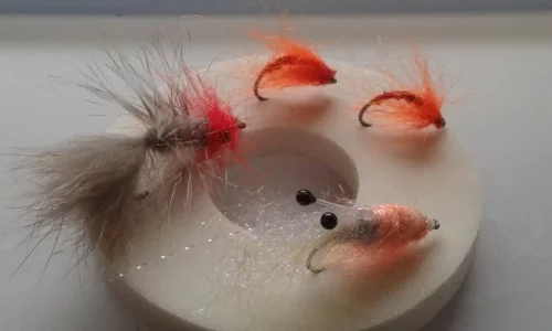 20181006_133359 (1).webp