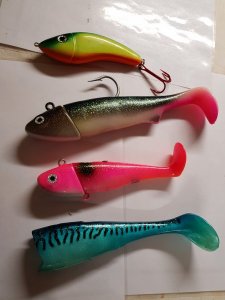 20181202_165928.jpg