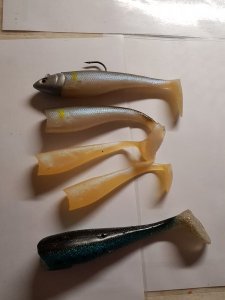 20181202_170011.jpg