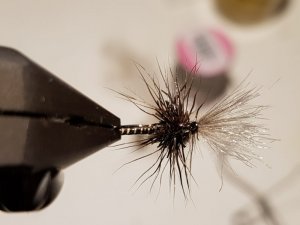 20181206_185308.jpg 20181206_185308.jpg