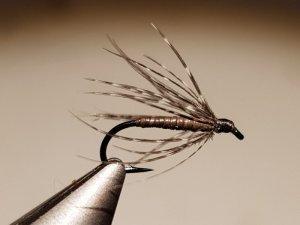 20181207_184346.jpg 20181207_184346.jpg