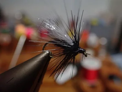 PC080043.webp PC080043.webp