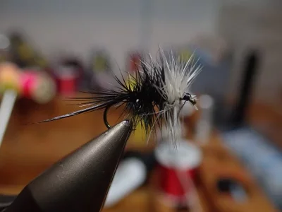 PC080045.webp PC080045.webp