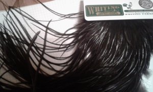 20181208_164716.jpg 20181208_164716.jpg