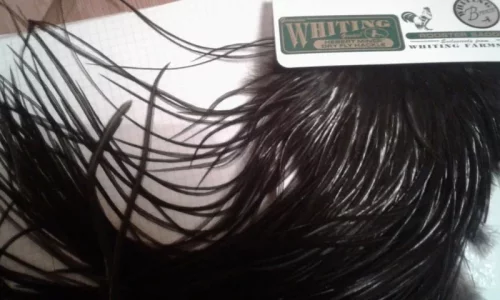 20181208_164716.webp 20181208_164716.webp