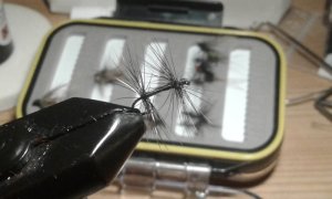 20181208_174452.jpg 20181208_174452.jpg