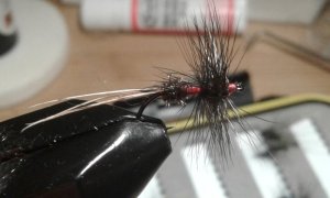 20181208_174543.jpg 20181208_174543.jpg