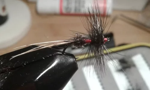 20181208_174543.webp 20181208_174543.webp