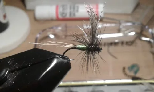 20181208_174623.webp 20181208_174623.webp