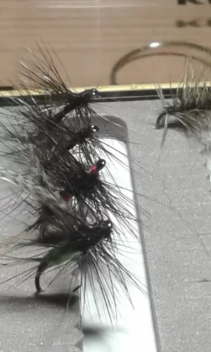 20181208_174341.webp 20181208_174341.webp