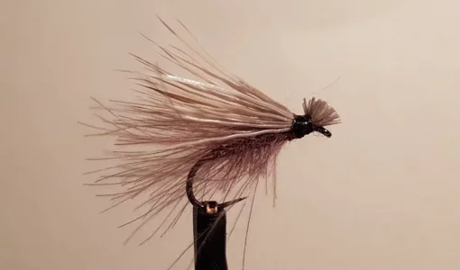 cdc elk hair caddis 20181209_165840.webp