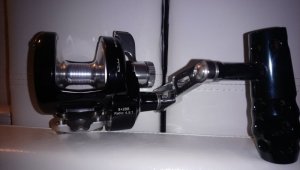 DSC_0173.JPG DSC_0173.JPG