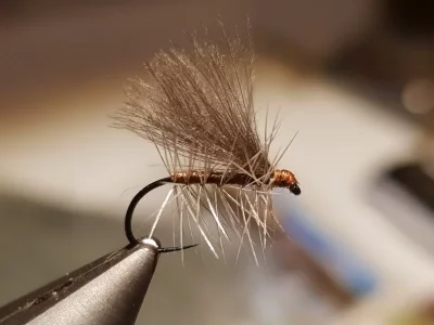 20181209_205116.webp 20181209_205116.webp