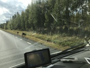 IMG_4612.JPG