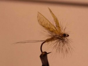 20160124_Wally Wing Mayfly.jpg