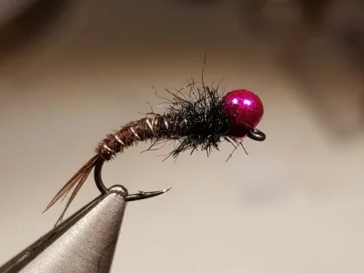 20181214_221150.webp 20181214_221150.webp