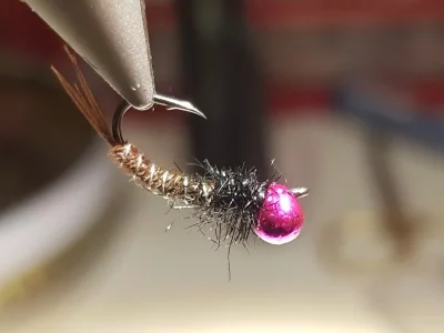 20181214_221237.webp 20181214_221237.webp