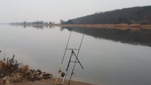 IMG-20181218-WA0000.jpg IMG-20181218-WA0000.jpg